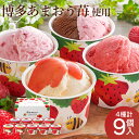 博多あまおうのこだわりアイス アイス アイスクリーム シャーベット 9個 AH-AB 送料無料 苺 いちご あまおう スイーツ ショコラ チョコレート チーズ ...