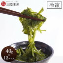 めかぶ 冷凍 お歳暮 お中元 冷凍メカブ 40g×12パックセット めかぶ メカブ 刻み 海藻 三陸産 小分け セット きざみ 海藻サラダ グルメ おつまみ お...