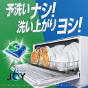 ＼目玉価格！／食器用洗剤 食洗機専用 ジェル+粉末ジョイジェルタブ 76個 洗浄ブースター 予洗いなし ピーアンドジー 除菌 消臭 庫内洗浄 JOY P&G 【D】 3