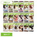 【2個】ヘアカラー 髪染め 白髪染め リーゼ 泡カラー ヘアカラー 髪染め 白髪染め 黒髪染め ブリーチ 泡 セルフカラー 黒 ナチュラルブラック Liese リーゼプリティア 花王 髪色もどし ブラック ブラウン