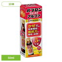 飲料 栄養ドリンク パブロンパブロン滋養内服液アルファ(10本) パブロン 滋養内服液 大正製薬 栄養 ドリンク 飲料 大正製薬