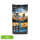 アンブロシア キャットトラウト&ラビット5kg 522125000トラウト 鱒 ウサギ ラビット 高たんぱく グレインフリー 超小粒 低脂肪 超小粒 泌尿器 【B】