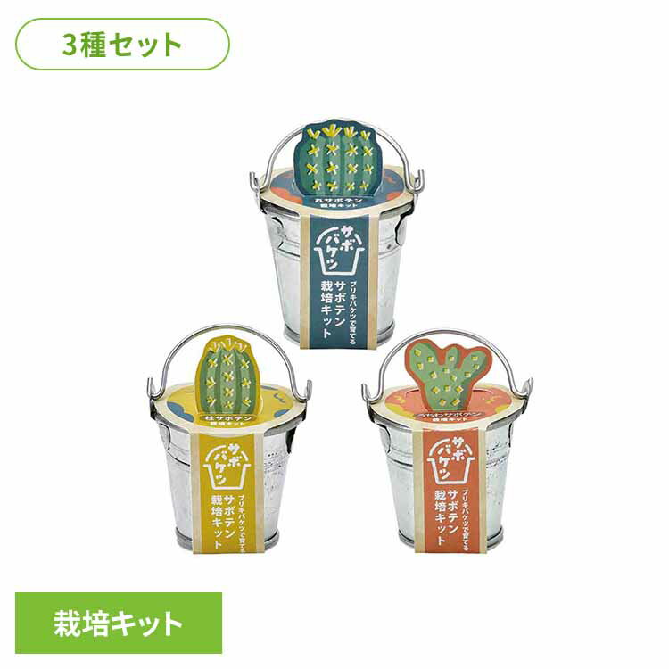 【3種セット】サボバケツ栽培キット（丸サボテン・柱サボテン・ウチワサボテン） 栽培キット 栽培セット サボテン 聖新陶芸 SEISHIN ブリキ製バケツ 種から育てる ギフト