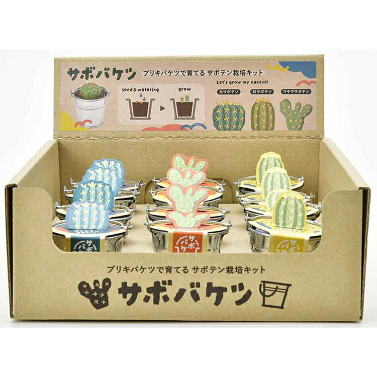 ★55％OFF★【3種セット】 栽培キット サボテン 丸サボテン 柱サボテン うちわサボテ...