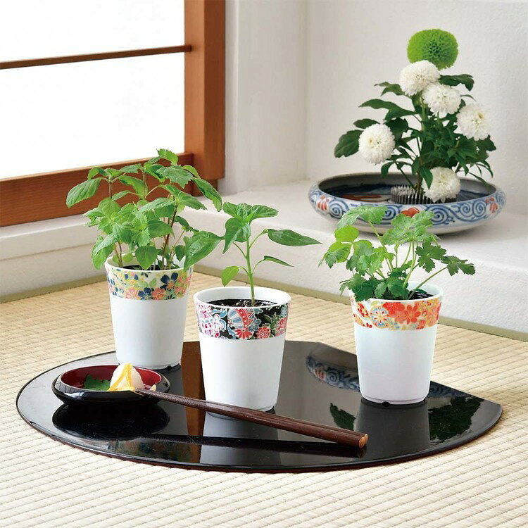 ★33％OFF★【3種セット】和心薬味 栽培キット 栽培セット しそ とうがらし みつ葉 ...