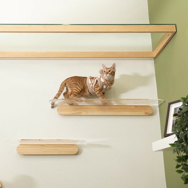 OBLONG/L90cm MZ0036キャットウォーク キャットステップ 猫用品 ペット用品 猫家具...