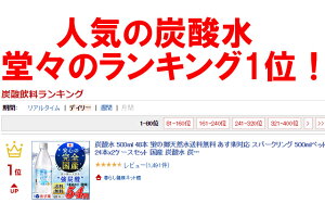 国産炭酸水500ml48本送料無料蛍の郷の天然水送料無料レモンプレーンスパークリング500mlペット24本x2ケースセット炭酸飲料ペットボトルソーダソーダ水SODA炭酸日本製国産ミネラルウォーター【D】【予約】