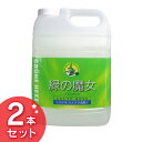 【2本セット】緑の魔女キッチン業務用 5L 洗剤 食器用 食器用洗剤 詰め替え 業務用5000mL 5KG 液体洗剤 キッチン用 大容量 排水管掃除 食器 生ゴミ パイプ パイプクリーナー 【D】