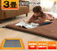 ホットカーペット 3畳 本体 HC-IR300 送料無料 3畳用 ホットマット ミニマット 電気マット 195×235cm 長方形 三畳 暖房面積切替 タイマー付き 自動オフ 暖房 冬 足元暖房 コンパクト ダニ対策 TEKNOS 冬物家電