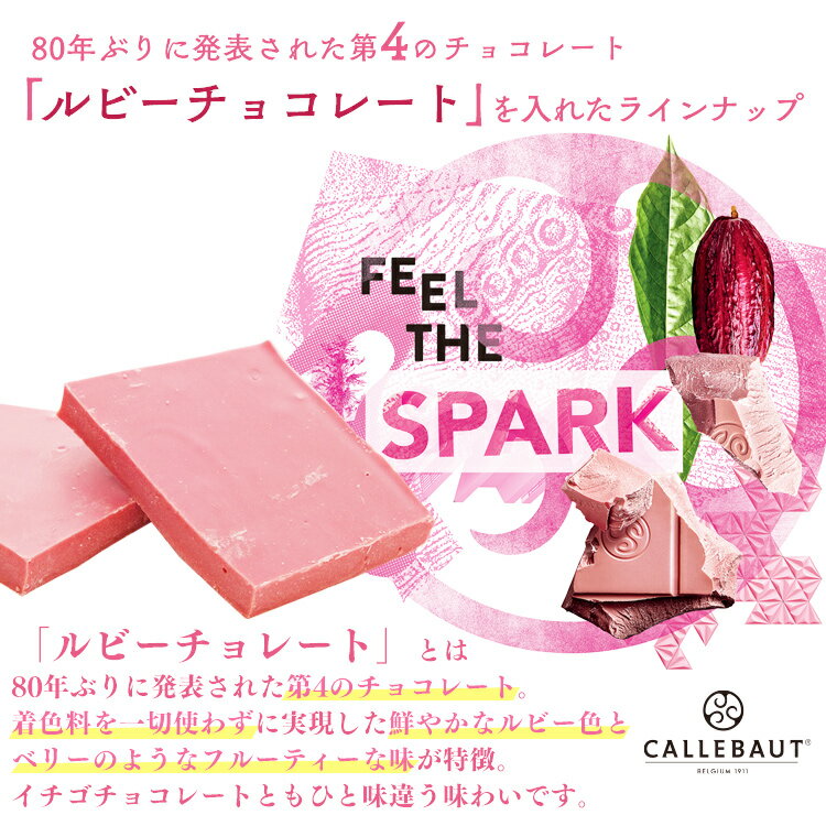 ＼超目玉価格★2,980円／割れチョコ 1kg 12種 バンホーテン チョコレート ミックス 送料無料 クーベルチュール ホワイトチョコ ルビーチョコ ナッツ ブラッククッキー ミルク ビター 抹茶 バナナ ドライフルーツ バレンタイン ホワイトデー ギフト 【D】 3