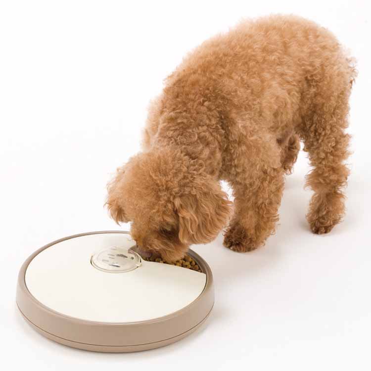 自動餌やり器 犬 猫 PET DISH PD-06 送料無料 山佐時計計器 自動給餌器 自動餌やり器 給餌 餌やり ご飯 お皿 ペットディッシュ【TC】