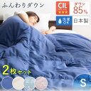 【2枚セット】日本製ダウンケット WDD85%0.2kg シングル 送料無料 ダウンケット 掛け布団 掛布団 布団 シングルサイズ ホワイトダックダウン ダウン...
