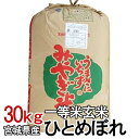 令和元年産 宮城県産 ひとめぼれ 一等米玄米 30kg 送料無料 お米 ご飯 生鮮米 30キロ 【TD】【米TKR】【メーカー直送品】