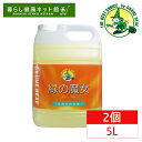 【2本セット】緑の魔女バス業務用 5L 送料無料 洗剤 緑の魔女 5kg×2 業務用 5KG 風呂 5000ml バス パイプクリーナー 排水管掃除 洗剤業務用...