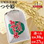 【令和5年産】 米 お米 白米 精米 玄米 宮城県産つや姫 精米 9kg×3袋 27kg 玄米 30kg送料無料 つや姫 選べる 27キロ 30キロ ごはん ご飯 ツヤ姫 ツヤヒメ【メーカー直送】【TD】【米TRS】