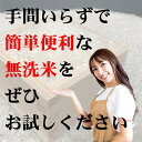 【無洗米専門店】山口県産 きぬむすめ 5kg (5kg×1袋) 令和5年産 無洗米 BG精米製法 瀬戸内 岡山 山口 白米 お米 倉敷 お得 3504010051 2