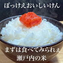 【無洗米専門店】山口県産 きぬむすめ 5kg (5kg×1袋) 令和5年産 無洗米 BG精米製法 瀬戸内 岡山 山口 白米 お米 倉敷 お得 3504010051 3