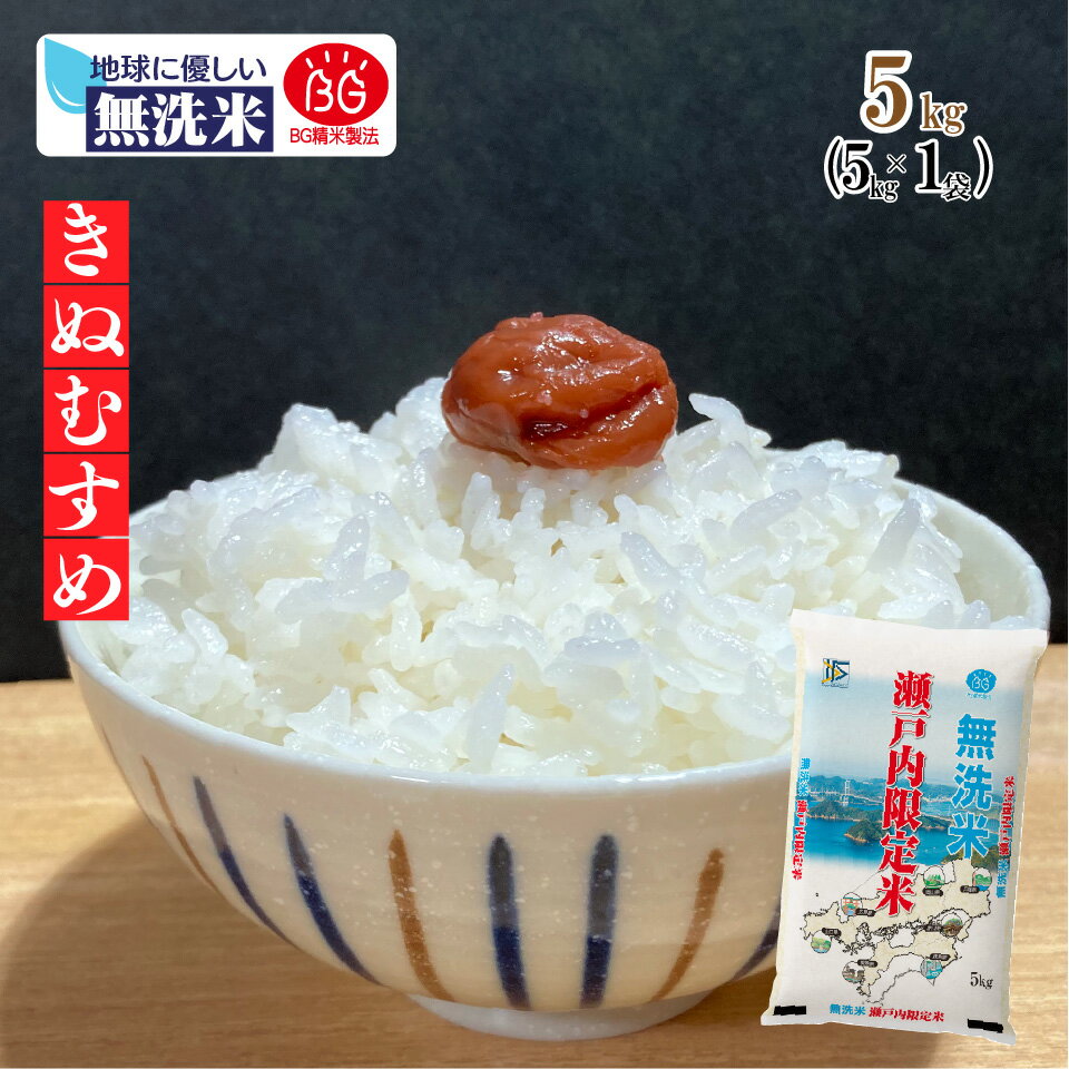 【無洗米専門店】山口県産 きぬむすめ 5kg (5kg×1袋) 令和5年産 無洗米 BG精米製法 瀬戸内 岡山 山口 白米 お米 倉敷 お得 3504010051