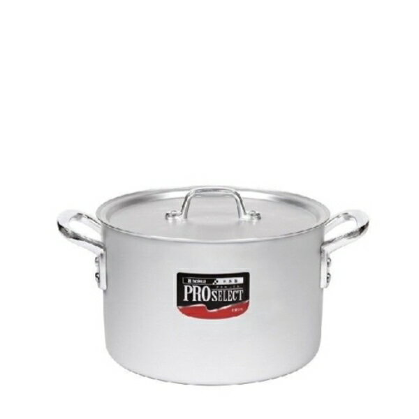 北陸アルミニウム プロセレクト半寸胴鍋 24cm