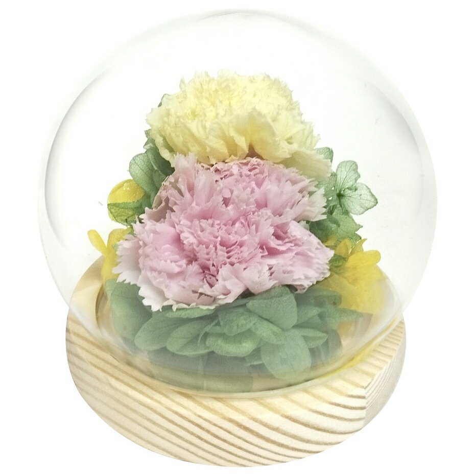 スーププリザーブドフラワースフィア...