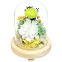 スープ プリザーブドフラワー ガラスドーム 芽吹 C37700 仏花 仏壇用