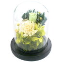 スープ プリザーブドフラワー ガラスドーム 清華 C25000 仏花 仏壇用