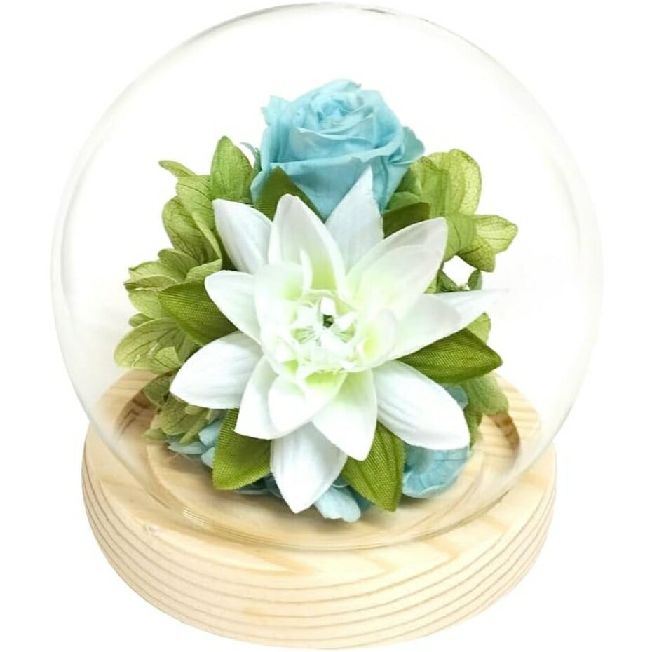 スープ プリザ＆アート製 四季スフィア 夏 ハス C38202 お祝い ギフト