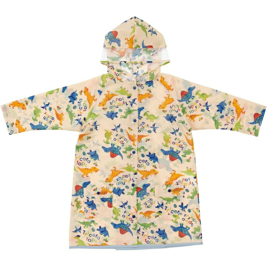 Skater  RACO1M å館쥤󥳡 ǥΥ륹 ε 襤 ˤλ ˻ Ļ   åѡʥݥȡ...