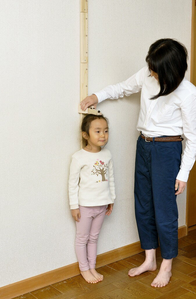 【送料無料】身長計いぬ | 日本製 木製 木 木製身長計 身長計 測る 測定 壁 壁掛け 目盛り 成長 動物 犬 いぬ イヌ かわいい 酒井産業
