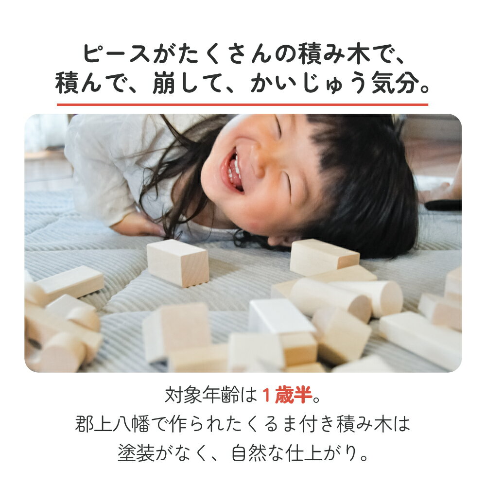 積み木 日本製 つみき 木製 くるま 2台 48 ピース 知育 出産祝い 孫 1歳 1歳半 2歳 誕生日 赤ちゃん ギフト プレゼント 酒井産業