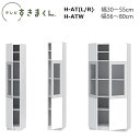 テレビすきまくん LSD ポリカ扉キャビネット H-GTL(左開き)/GTR(右開き)/H-GTW(両開き) W30〜80×D42.2×高さ180.2cm(18...