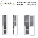 テレビすきまくん LSD ポリカ扉キャビネット M-GTL(左開き)/GTR(右開き)/M-GTW(両開き) W30〜80×D42.2×高さ155.2cm(15...