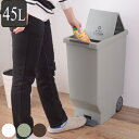 ゴミ箱 45L スライドペダルペール 日本製 キャスター付き( 分別ゴミ箱 ごみ箱 45リットル 角型 ダストボックス リビング 寝室 シンプル ホワイト ペダルペール )