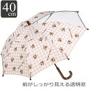 傘 透明窓 40cm 子供 キャラクター ディズニー チップとデール ( チップ デール 子ども傘 子供用 窓付き かさ 手動開閉式 長傘 安全カバー付き 名前...