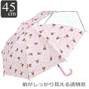 傘 透明窓 45cm 子供 キャラクター くまのがっこう ( クマの学校 クマ くま 子ども傘 子供用 窓付き かさ 手動開閉式 長傘 安全カバー付き 名前札付...