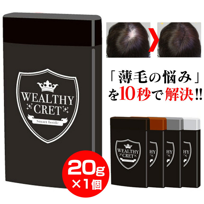 【メール便 送料無料】 ウェルシークレット ≪20g×1個≫ 増毛パウダー 薄毛 薄毛隠し 白髪 白髪隠し ハゲ..