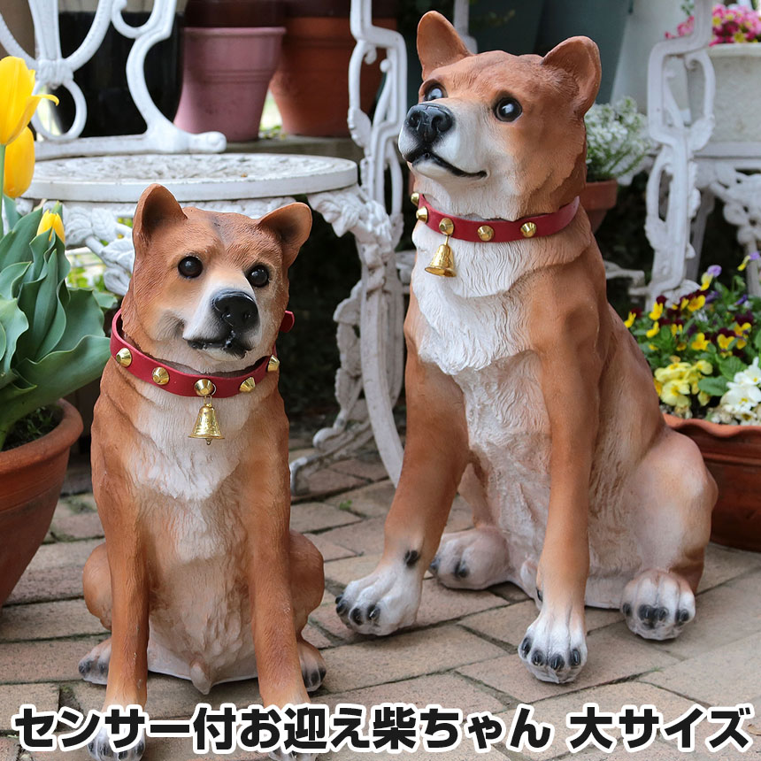 【送料無料】 センサー付お迎え柴ちゃん 大サイズ わんわん小太郎 犬 置物 玄関 いぬ 動物 センサー 番犬 おもちゃ 玄関置物 柴犬 インテリア 置物 ガーデニング 防犯 グッズ 防犯 玄関 セキュリティ 防犯グッズ 防犯対策 お出迎えのサムネイル