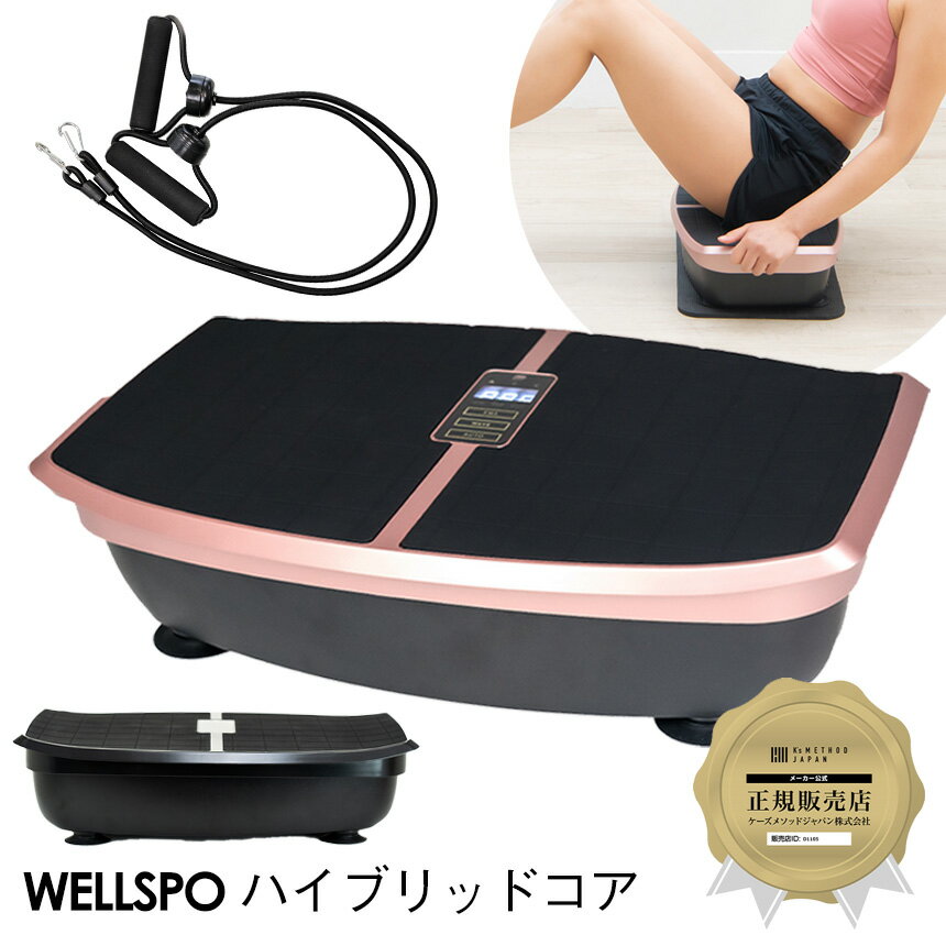 【ポイント10倍】ハイブリッドコア WELLSPO HC-BB30 トランポリンメソッド 振動 EMS トレーニング バランストレーニング 体幹 インナーマッスル 振動ボード 乗るだけ エクササイズ ブルブル 振動マシン マシーン 有酸素運動 ダイエット 宅トレ