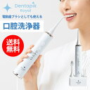 【無料ラッピング対応送料無料】口腔洗浄器 デンタピック ロイヤル WSDR001 電動歯ブラシ 口腔洗浄機 コードレス 風呂 フロス マウスウォッシャー タンクレス 歯間 口 水 歯列矯正 洗浄 コンパクト 省スペース 防水 IPX7 水流洗浄器 歯周病 口腔ケア(2)