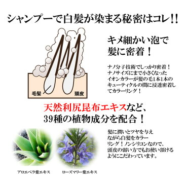 利尻カラーシャンプー 利尻昆布 白髪染め シャンプー 利尻白髪かくし 利尻昆布シャンプー 白髪かくし 白髪隠し 白髪 利尻昆布白髪染め 昆布の白髪用カラーシャンプー 利尻 白髪染め カラーシャンプー 染める 大容量 10%増量 男女兼用 ポイント消化