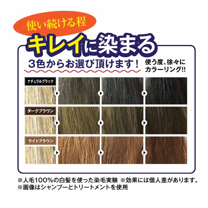 【★100円クーポン有!】利尻ヘアカラートリートメント 利尻昆布 白髪染め トリートメント 利尻白髪かくし 利尻 利尻昆布ヘアカラートリートメント 白髪かくし 白髪隠し 白髪 利尻昆布白髪染め 昆布 白髪用カラートリートメント カラーシャンプー セルフカラー