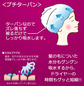 【送料無料】エアーかおる プチターバン ターバン エアかおる 浅野撚糸 カンブリア宮殿 正規品 吸水 速乾 ヘアキャップ お風呂上がり 吸水タオル 髪 ヘアーターバン ヘアバンド メール便 日本製 バスタオル ギフト テレビ ウラマヨ！ 関西テレビ