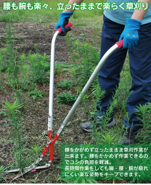 【送料無料】草刈かっちゃん 草刈り はさみ ガーデニング 草刈り ハサミ 雑草 庭 道 草刈 草苅 畑 掃除 夏 立ったままで草刈り 立作業用 腰痛対策 腰負担軽減 バネ付 らくらく 草刈り 三木金物 兵庫三木 日本製 組立式 暮らしの幸便