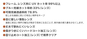 【★500円OFFクーポン対象】ウイルス対策 メガネ 花粉・飛沫対策 防護防曇グラス【2本組】≪UVカット率99％≫メガネの上から メンズ レディース 花粉対策 ブルーライトカット 紫外線カット ガード ホコリ 塵 風 紫外線対策 UV対策 グッズ ブルー光線 日本製 飛沫 めがね 眼鏡