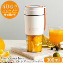 Mini-Vitamer Juicer ジューサー コードレ