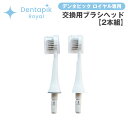 デンタピック ロイヤル 専用 交換用 ブラシヘッド 【2本組】デンタピックロイヤル専用 交換用 ブラシヘッド 2本組 口腔洗浄器 WSDR001 専用 交換用ブラシヘッド 電動歯ブラシ 口腔洗浄機 フロス 交換用 替え 純正 正規品 正規販売店 メーカー公式(2)