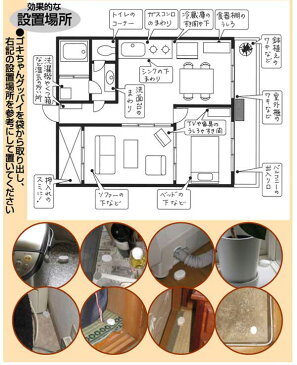 【メール便 送料無料】 ゴキちゃんグッバイ ≪1セット6個入り≫ ゴキブリ 駆除 ごきぶり ゴキブリ退治 ゴキブリ駆除 ごきちゃんグッバイ ごきちゃんぐっばい ゴキ 暮らしの幸便