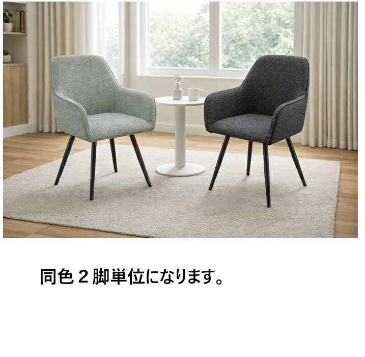 送料無料 NO 食卓イス 単品イス ばら売りイス カジュアルイス 2脚入りイス 2色対応イス アイアン脚イス