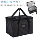 保冷バッグ 折りたたみ クーラーボックス レジバッグ クーラーバッグ ランチバッグ 弁当 レジ袋 エコバッグ マチ広 大容量 アウトドア レジカゴバッグ