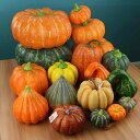 食品サンプル 見本 シミュレーション フードサンプル フェイク カボチャ 小道具 野菜 ハロウィン クリスマス 店舗演出 展示装飾 ディスプレイ インテリア デ...